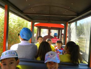 Bugs Play Park