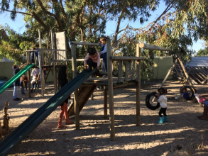 Ottery Barnyard Farm